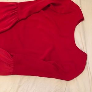 Cremieux Ruffle sleeve dress